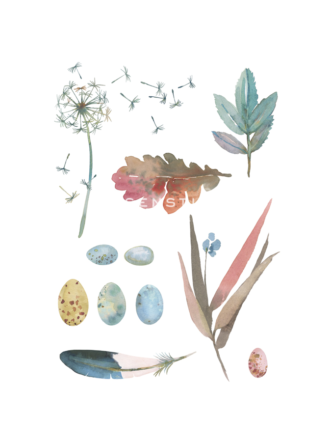 Country Cluster - Sandra Jacobs
