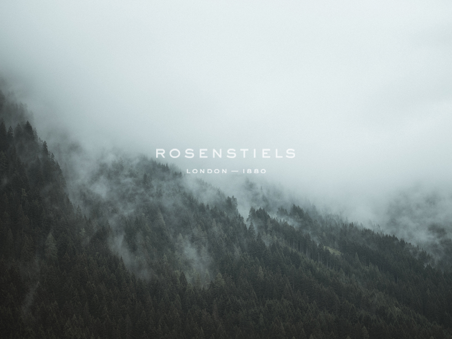 Forest Seclusion - Florian Schleinig