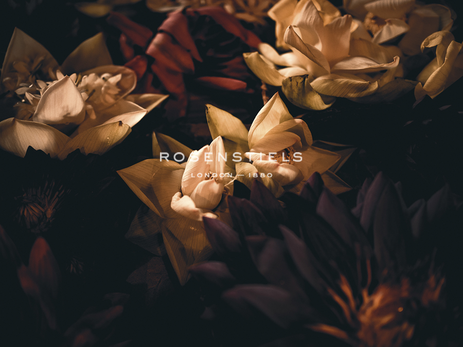 Twilight Lustre - Florian Schleinig