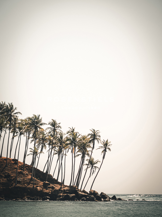 Palm Shores - Florian Schleinig