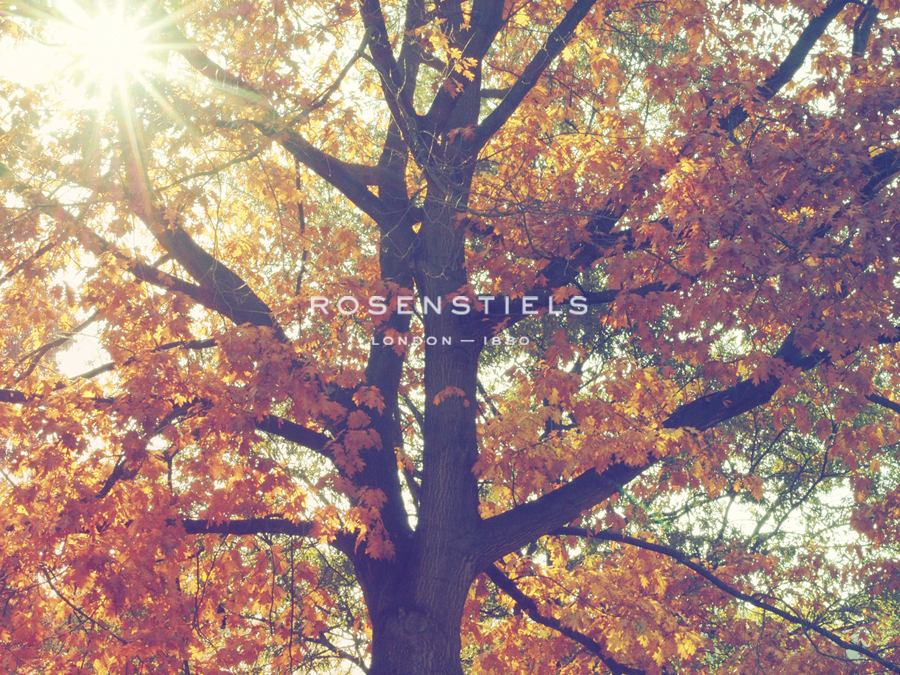 Autumnal Chorus - Florian Schleinig