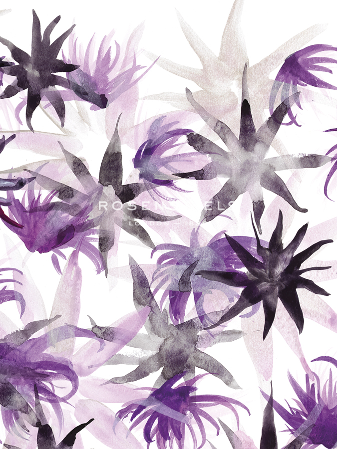 Wild Violet - Sarah Von Dreele