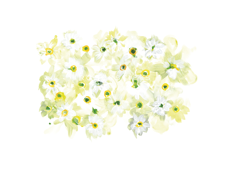 Daybreak Bouquet - Sarah Von Dreele