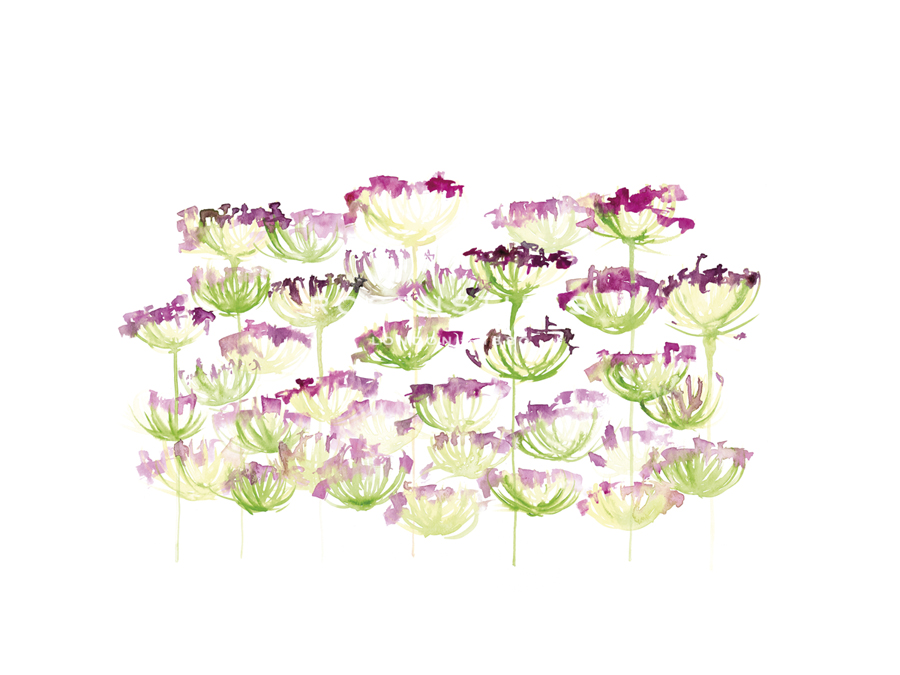 Flower Floats - Sarah Von Dreele