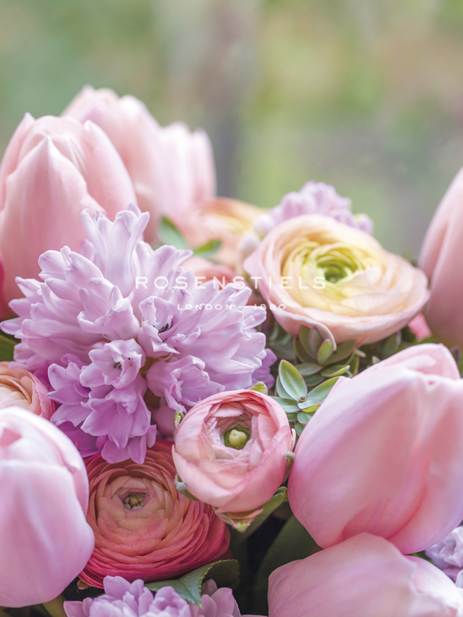 Spring Stems - Floral - Assaf Frank