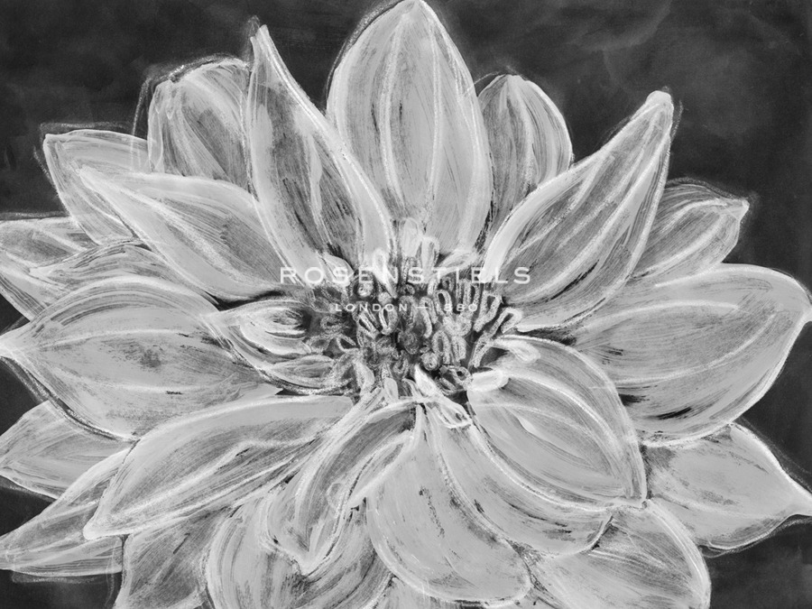 Chalk Cluster - Belle Poesia