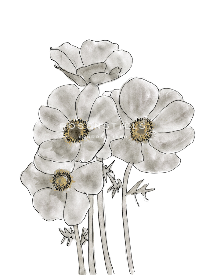 Anemone Quartet - Belle Poesia