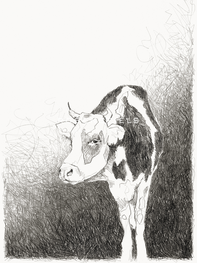 Buttercup - Kristine Hegre