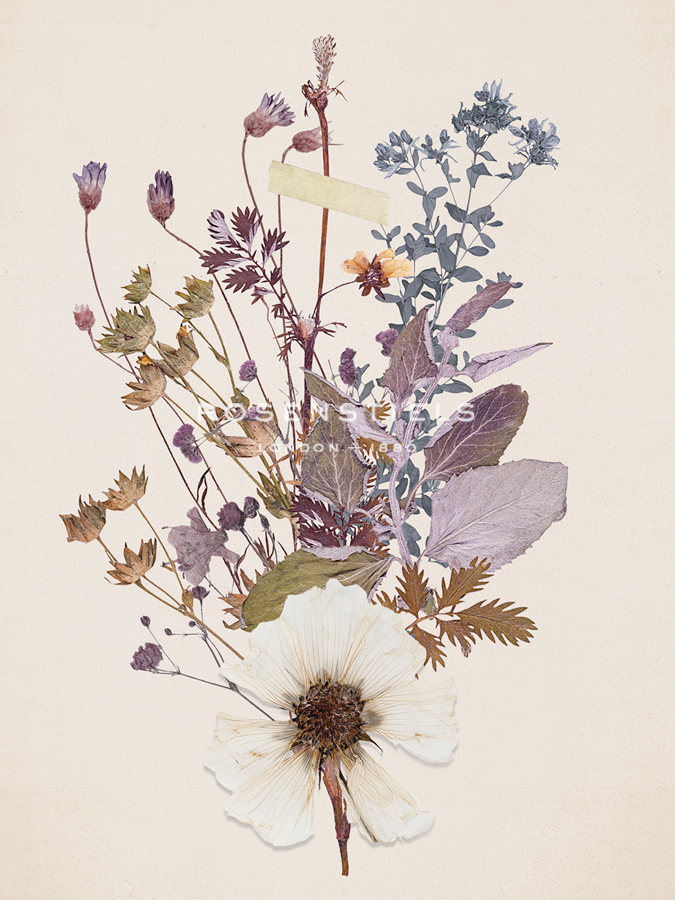 Weeds - Anahata Katkin