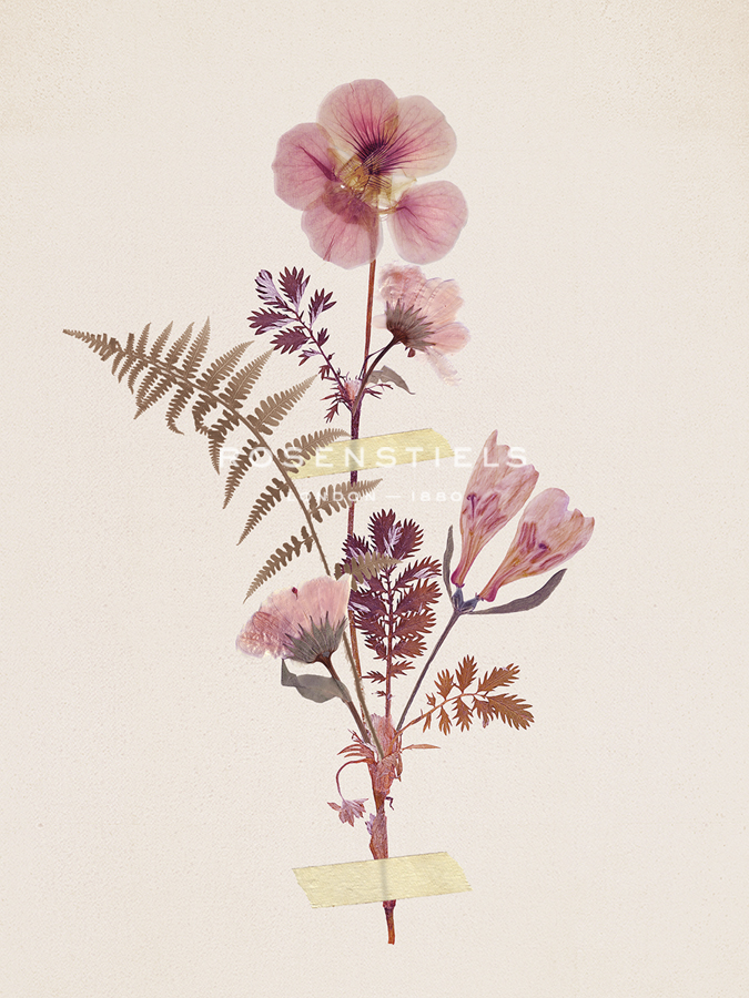 Pink Petals - Anahata Katkin