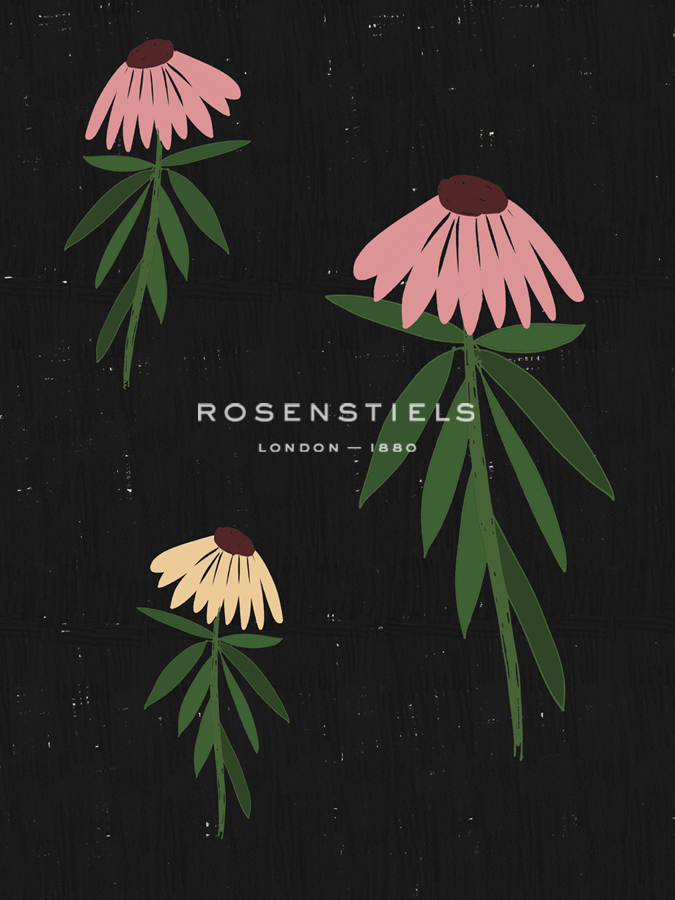 Echinacea Blackboard - Lisa Stickley