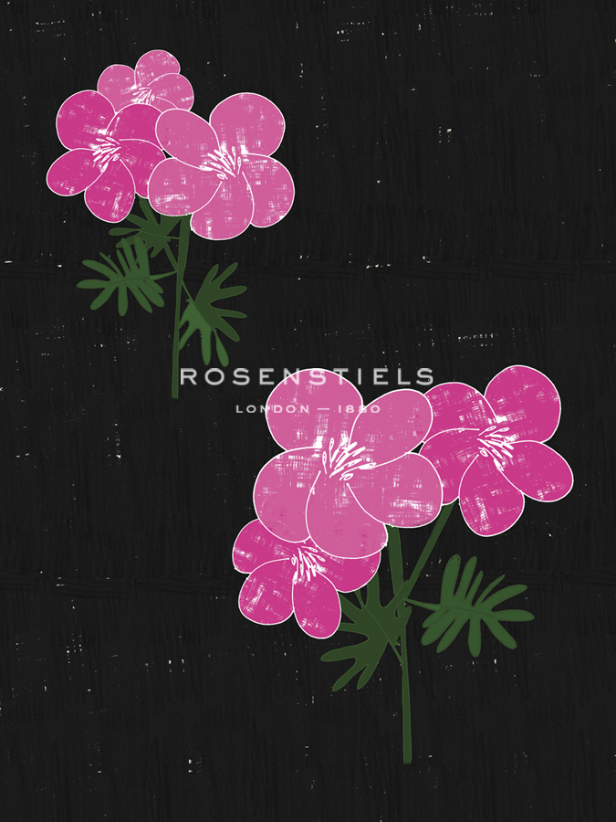 Geranium Blackboard - Lisa Stickley
