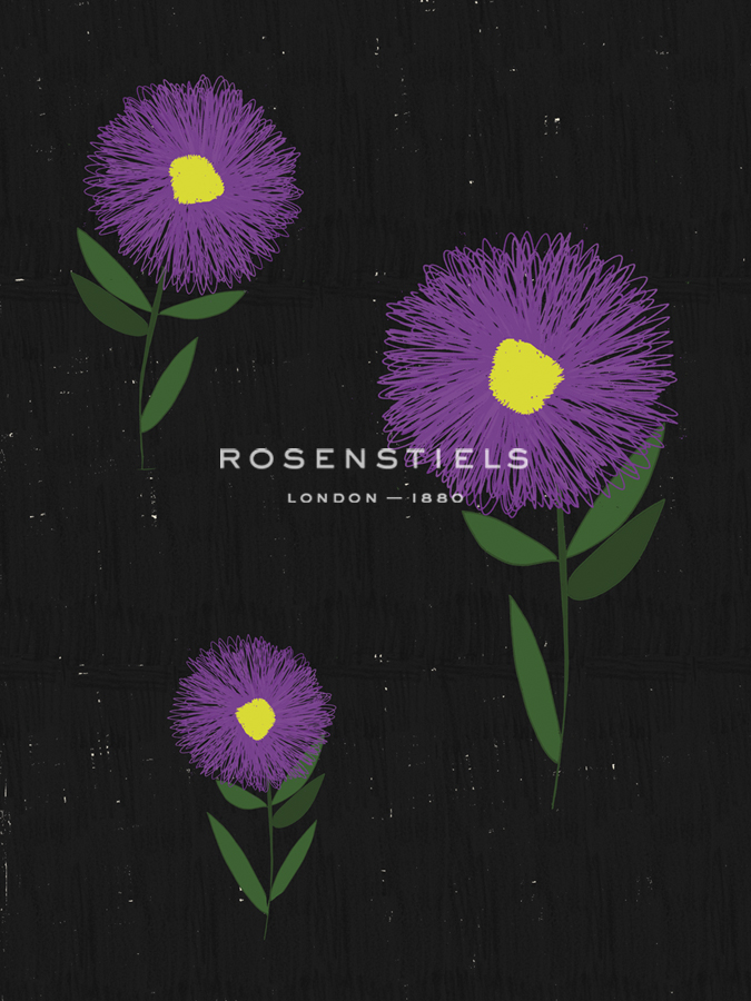 Ice Plant Blackboard - Lisa Stickley