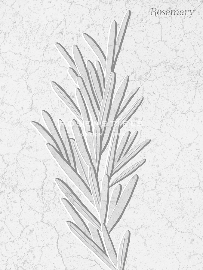 Pressed Plaques - Rosemary - Kristine Hegre