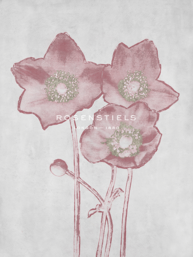 Floral Fade - Tranquility - Belle Poesia