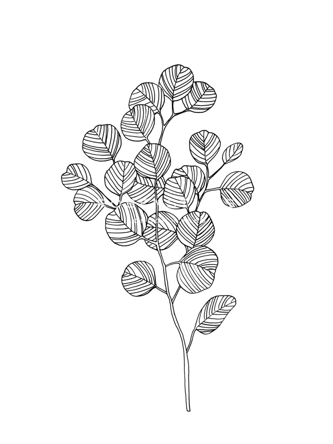 Linear Nature - Flourish - Belle Poesia