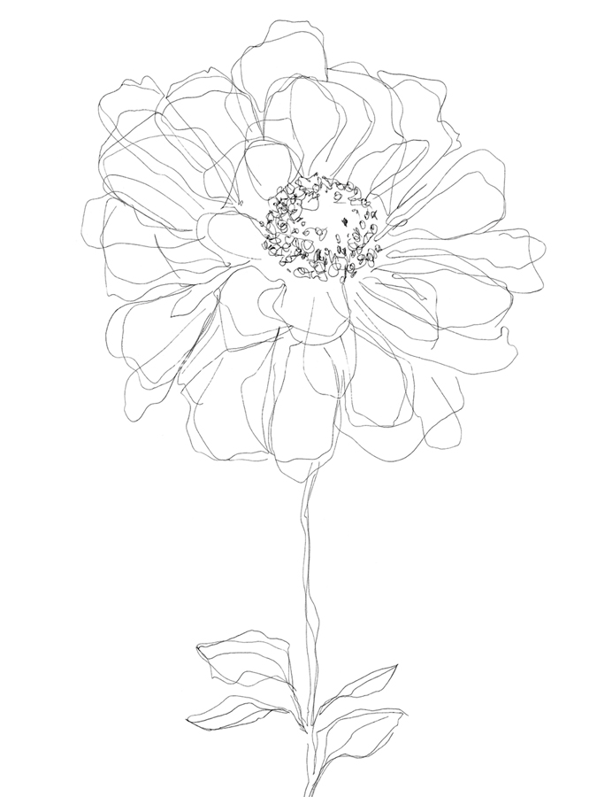 Linear Bloom - Bud - Kristine Hegre