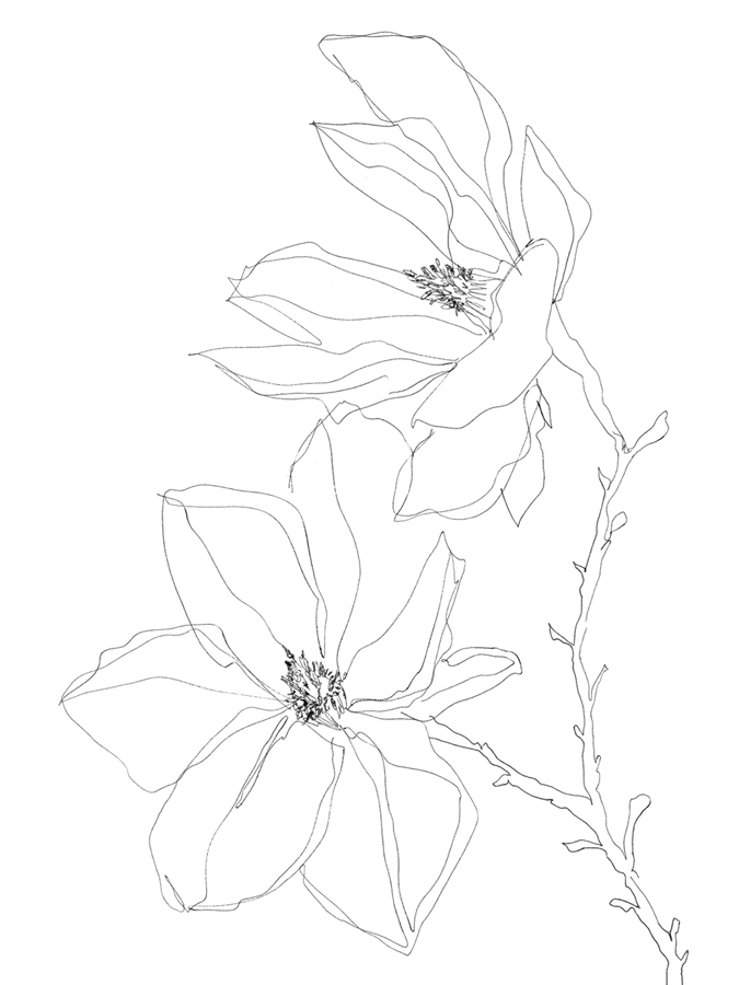 Linear Bloom - Grow - Kristine Hegre