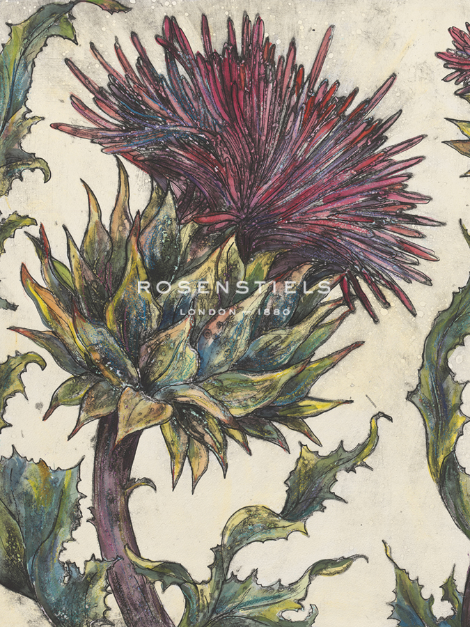 Spear Thistle - Gauche - Vicky Oldfield