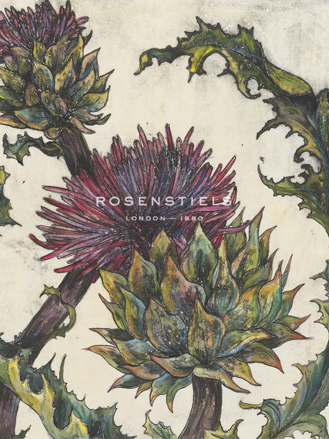 Spear Thistle - Droit - Vicky Oldfield