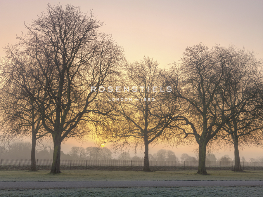 Morning Fade - Assaf Frank