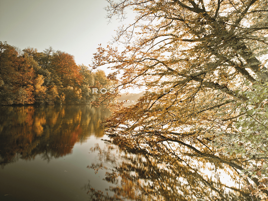 Autumnal Reflections - Assaf Frank