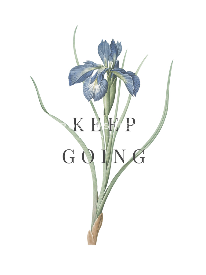 Keep Going - Pierre Joseph Redoute