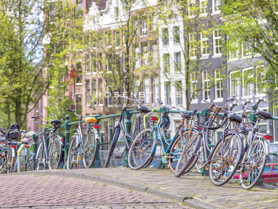 Cycle Collective - Assaf Frank