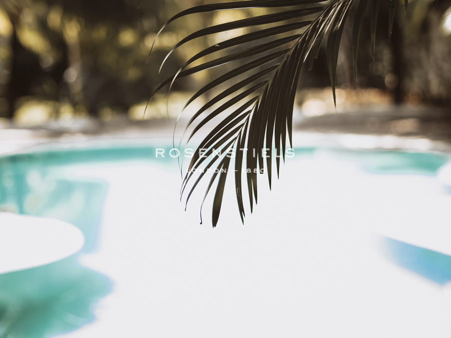 Palm Lagoon - Florian Schleinig