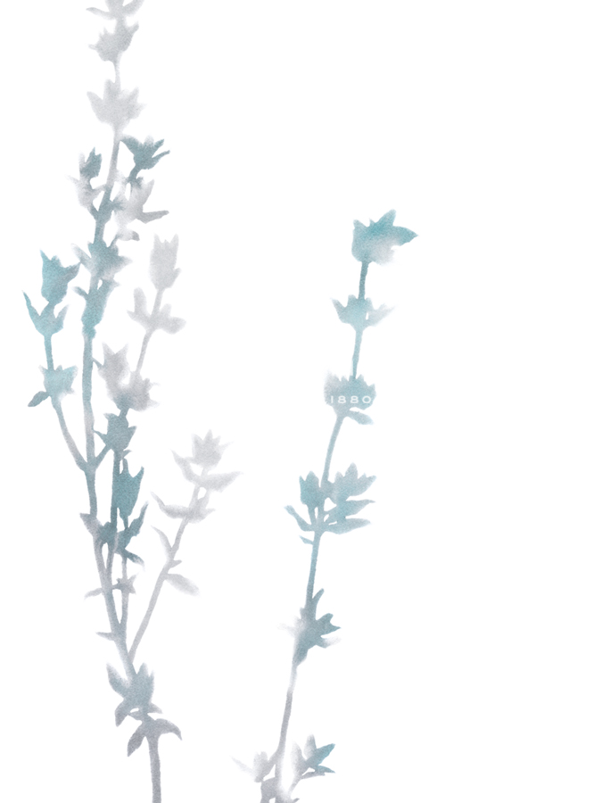 Faded Foliage - Grow - Kristine Hegre