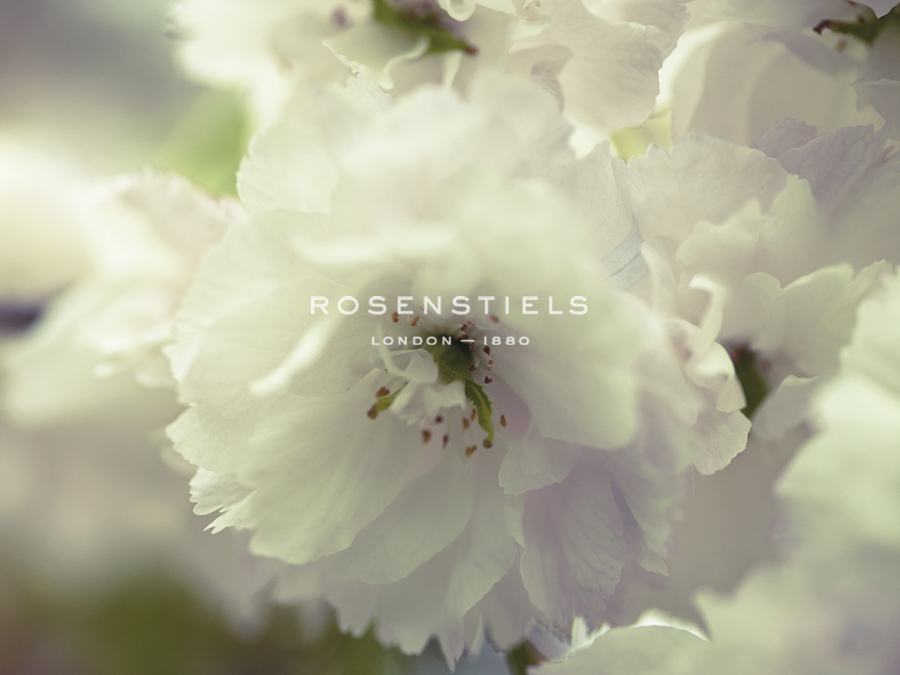 Floral Flaunt - Assaf Frank