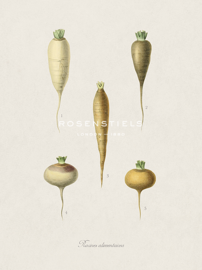 Racines Alimentairea - The Vintage Collection