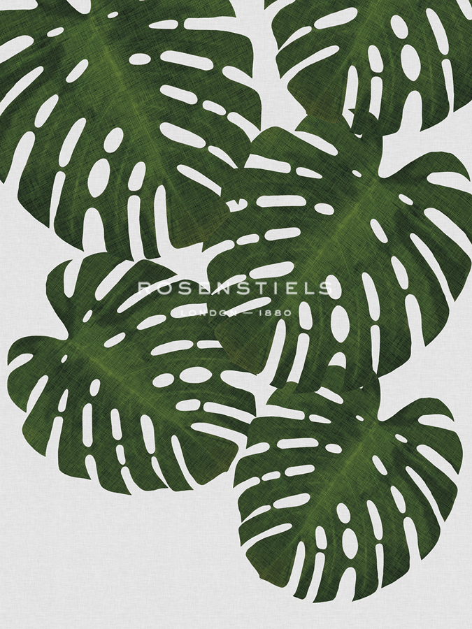 Urban Tropical - Monstera - Dana Shek