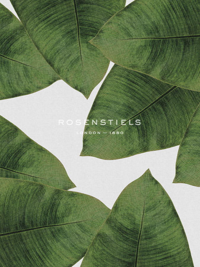 Urban Tropical - Leaf - Dana Shek