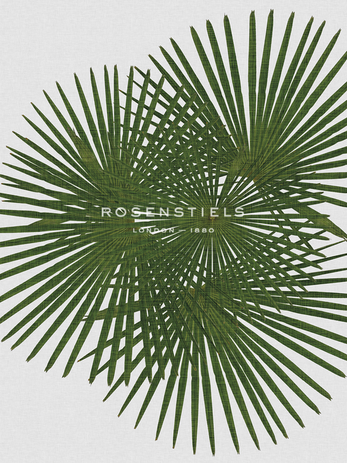 Urban Tropical - Fan - Dana Shek