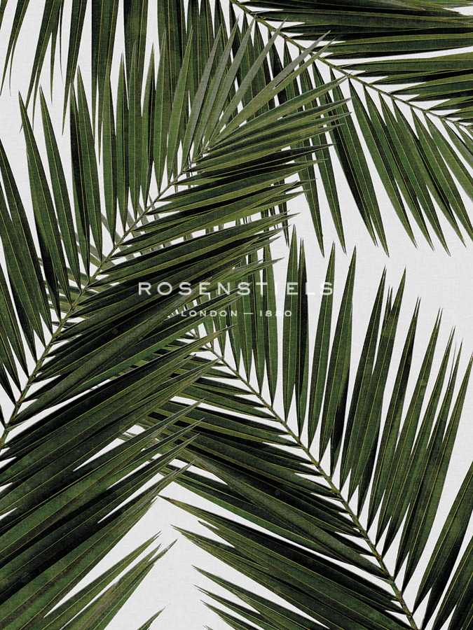 Urban Tropical - Palm - Dana Shek