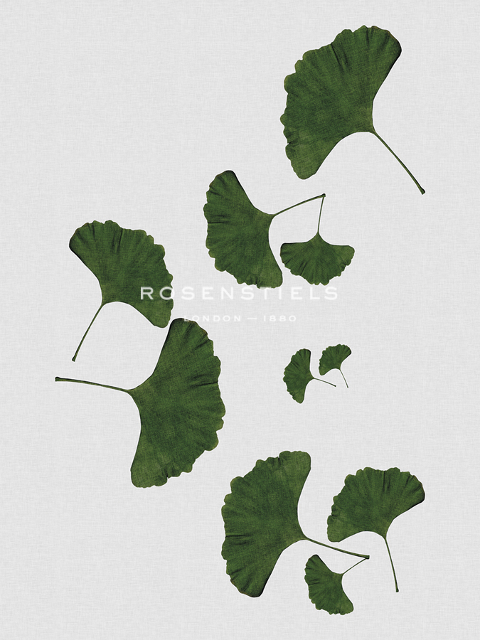 Ginkgo Chorus - Dana Shek