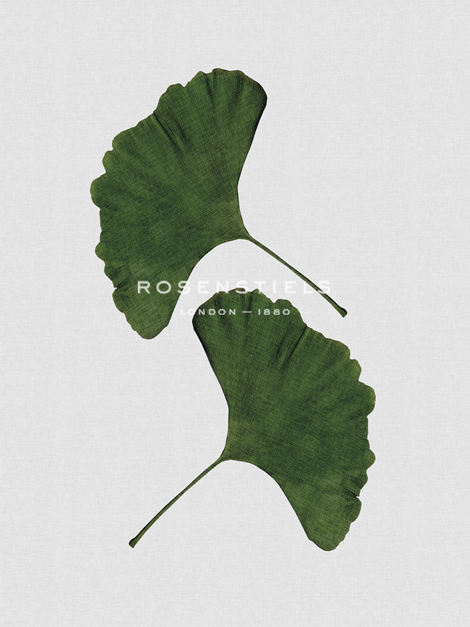 Ginkgo Duet - Dana Shek