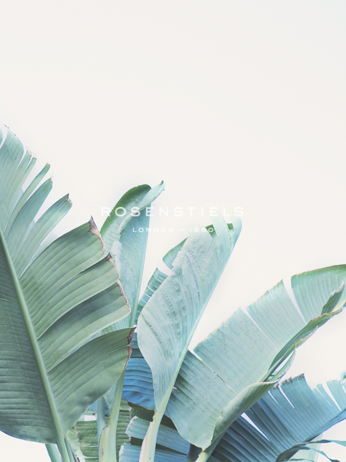 Palmetto Bay - Detail II - Irene Suchocki