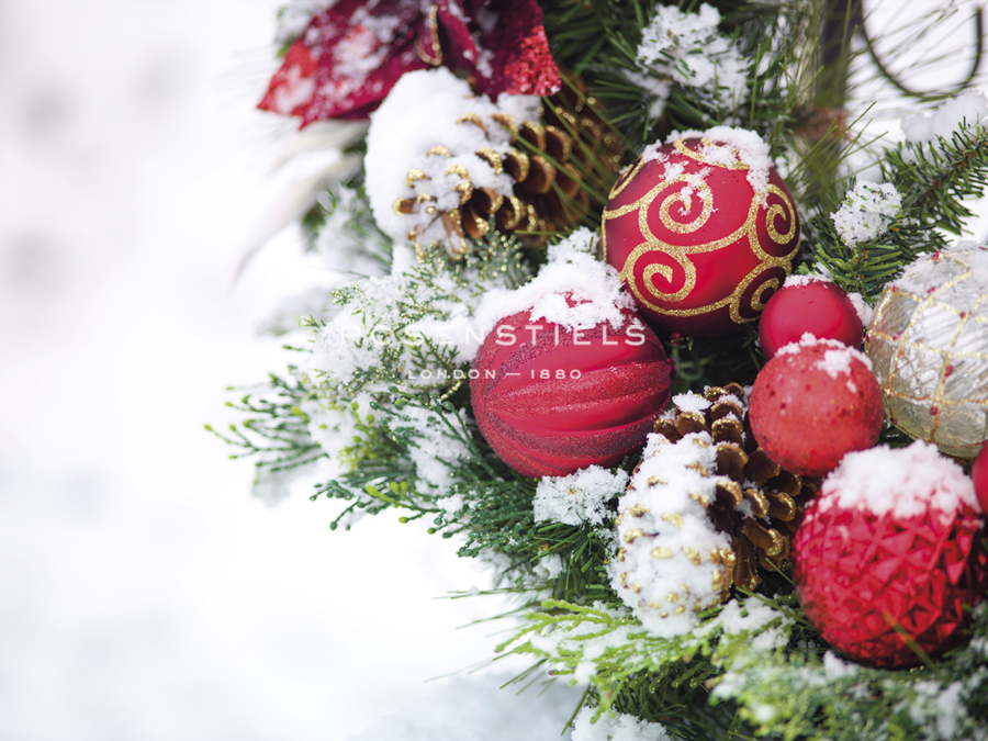 Festive Fancies - Assaf Frank