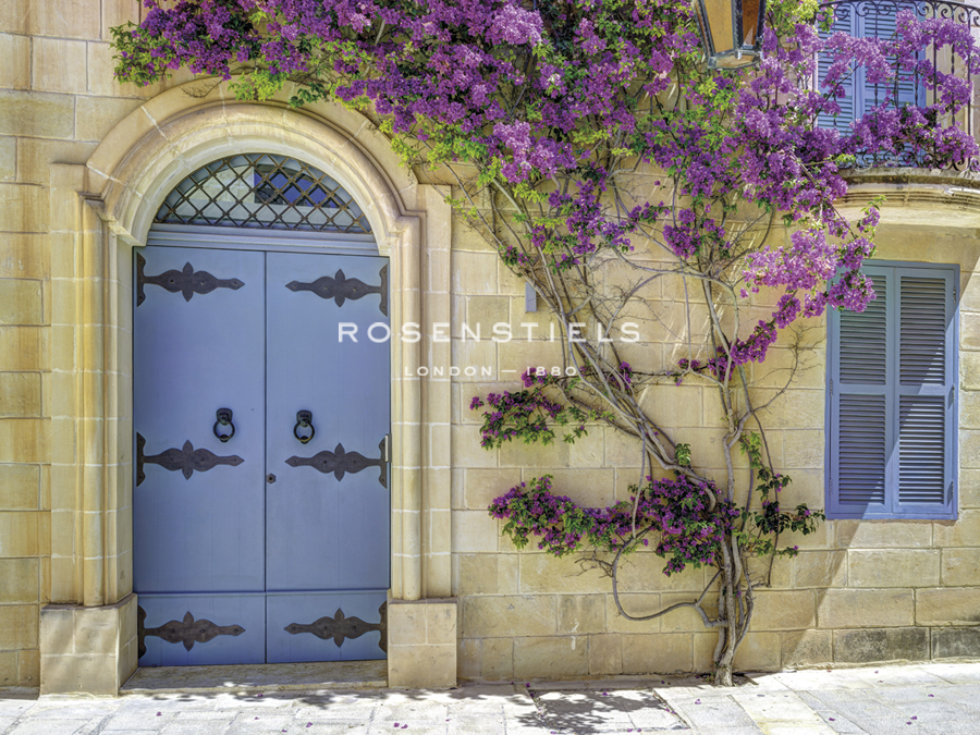 Elaborate Entrance - Assaf Frank
