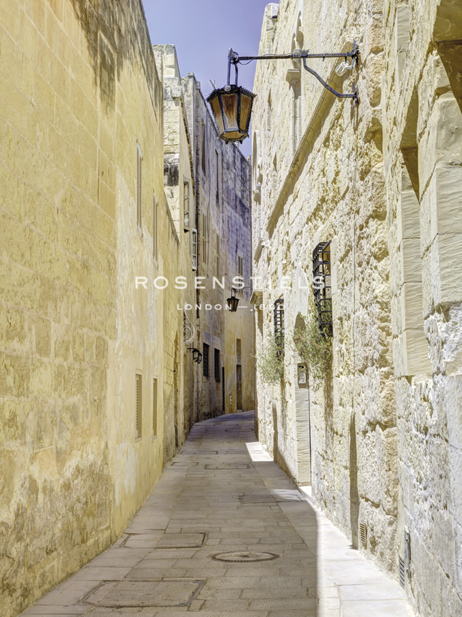 Memory Lane - Assaf Frank