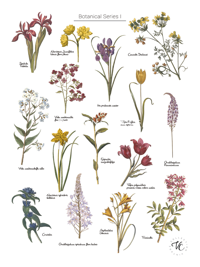 Discovery Charts - Floral - The Vintage Collection