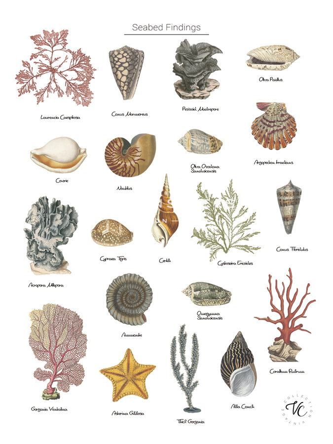 Discovery Charts - Seabed - The Vintage Collection