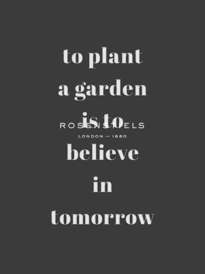 Plant Garden - Joni Whyte