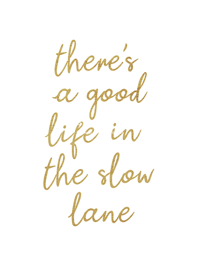 Slow Lane - Joni Whyte