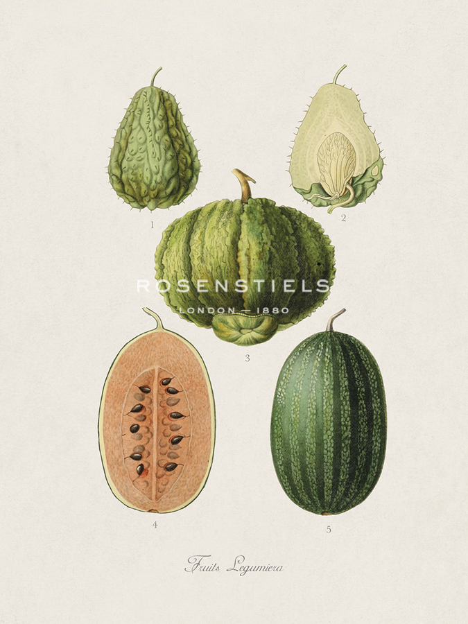 Fruits Legumiera - The Vintage Collection