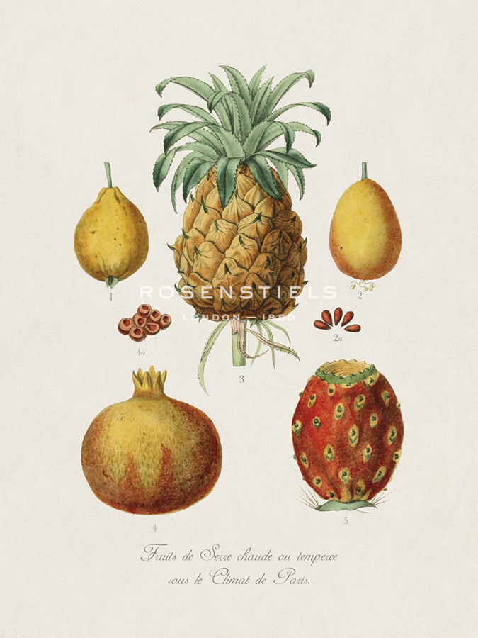 Fruits de Serre - The Vintage Collection