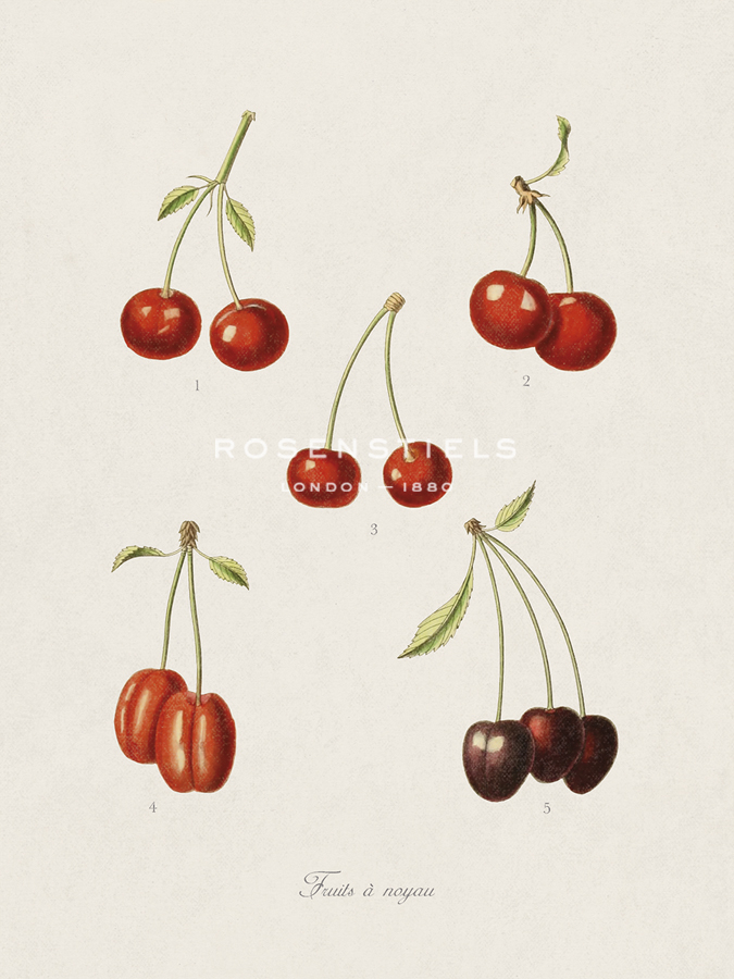 Fruits a noyau - The Vintage Collection