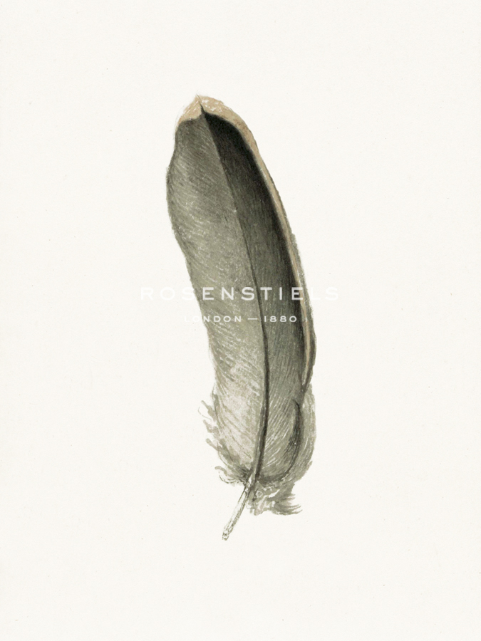 Floaty Feather - Pure - The Vintage Collection
